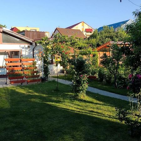 Casa Ienciu Apartman Nagyszeben Kültér fotó