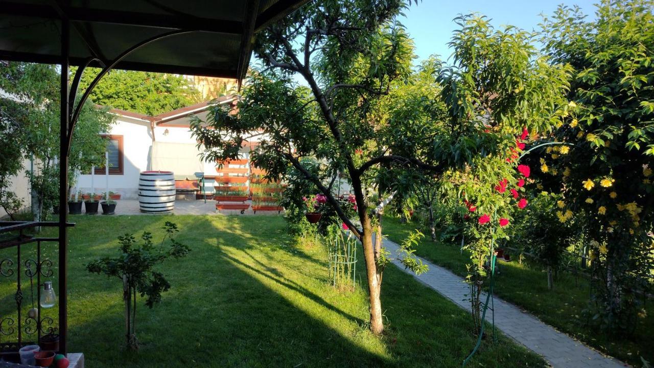 Casa Ienciu Apartman Nagyszeben Kültér fotó